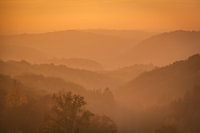 Avondzon in de Ardennen
