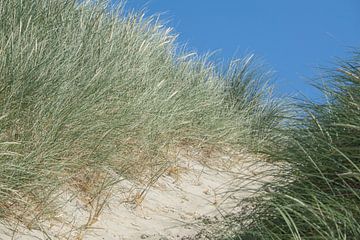 traversée des dunes sur Hanneke Bantje
