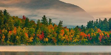 L'automne à Connery Pond dans le parc d'État des Adirondacks