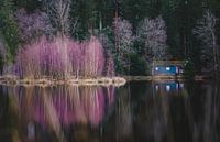 Reflection of turquoise wooden cottage with purple bush by the water 2 | Vosges, France by Merlijn Arina Photography thumbnail