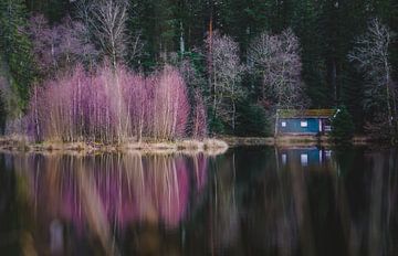 Reflectie van turquoise houten huisje met paarse struik aan het water 2 | Vogezen, Frankrijk van Merlijn Arina Photography