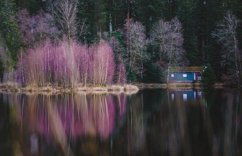 Reflection of turquoise wooden cottage with purple bush by the water 2 | Vosges, France by Merlijn Arina Photography