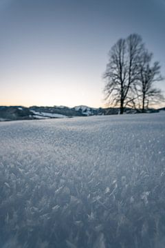 ijzige zonsopgang in Oberstaufen met uitzicht op Hochgrat en Steibis van Leo Schindzielorz