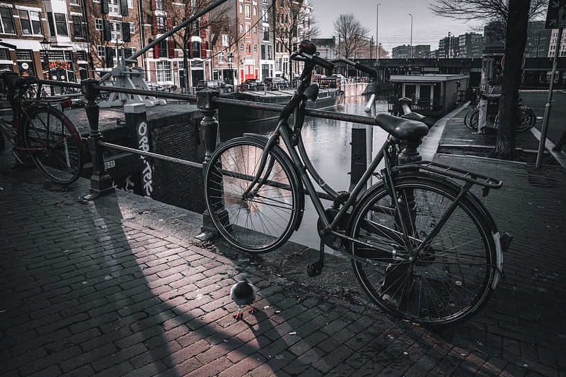 Amsterdam in the Netherlands is not just black and white von Thilo Wagner