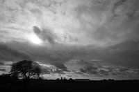 arbre