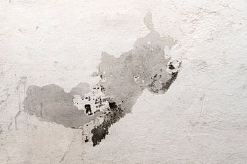 Neushoorn op een oude muur van Petra Terpstra