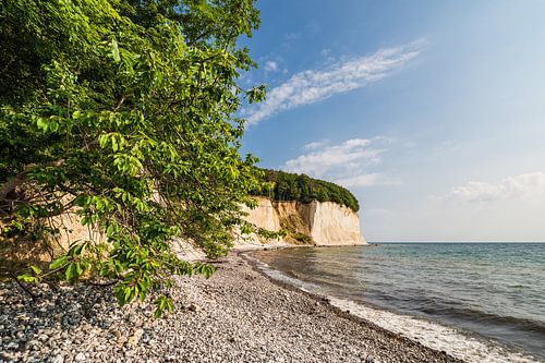 Chalk cliffs on the coast of the Baltic Sea on the island of Rügen