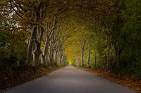 Chemin de randonnée de Narbonne - France