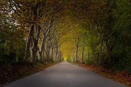 Chemin de randonnée de Narbonne - France