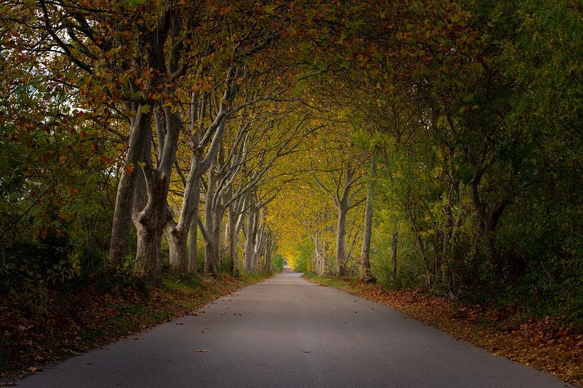 Hiking trail at Narbonne - France by Vincent D'hondt