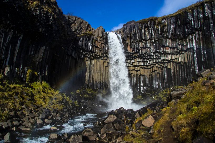 Black Waterfall van Freek van den Driesschen