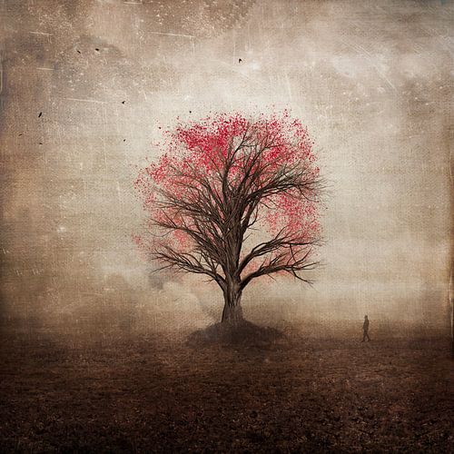 Miracle tree in autumn