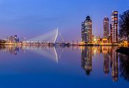 Rotterdam by Ellen van den Doel thumbnail