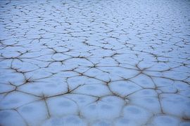 ice blue frozen lake Netherlands | Winter and Christmas collection 2022 by Denise Tiggelman