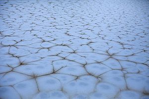 glace bleue lac gelé Pays-Bas | Collection Hiver et Noël 2022 sur Denise Tiggelman