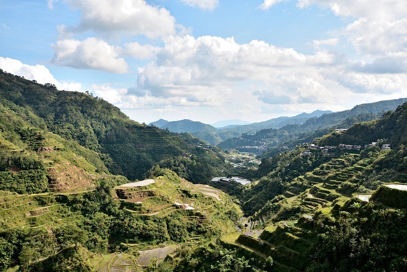Rice fields of Banaue, a Filipino treasure by Frank Photos