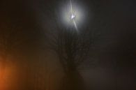 Foggy moon encounter van Dennis Debie thumbnail