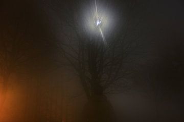 Foggy moon encounter