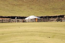 gertent von Robert Lotman