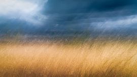 Wouwerbeek 2 in Bavel von Peter Smeekens