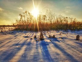 long schadow by claes touber
