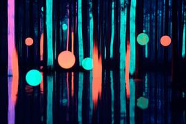 Luminous forest by Poster Art Shop