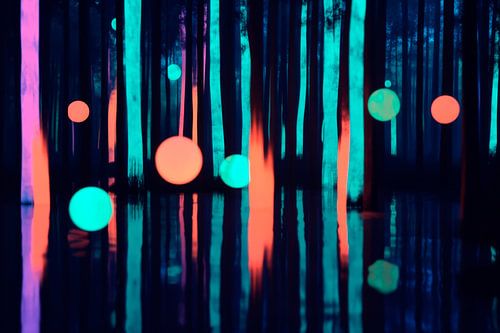 Forêt lumineuse