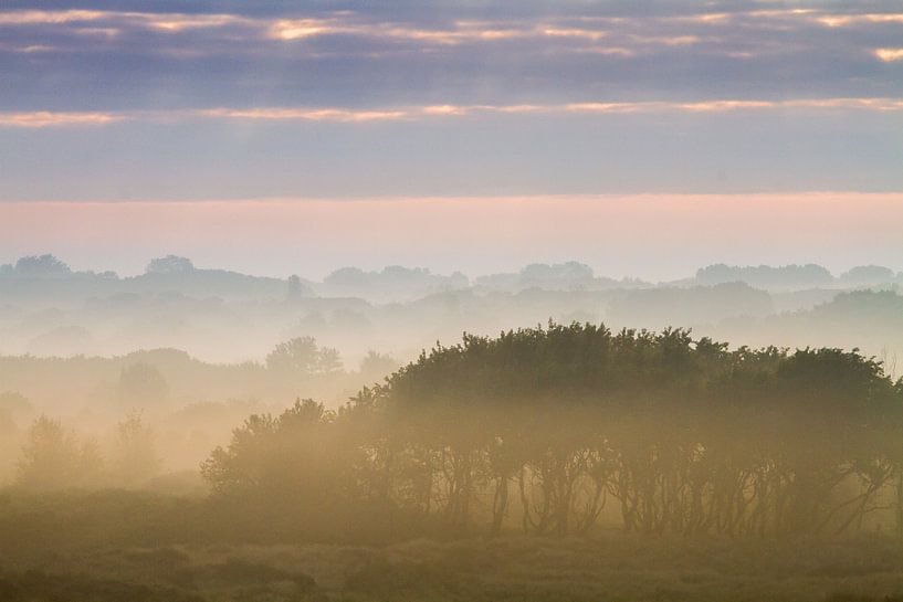 mist boven de duinen van wassenaar van Menno van Duijn