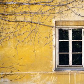 gelbes Fenster von Eveline Hellingman