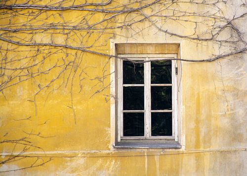 yellow window by Eveline Hellingman