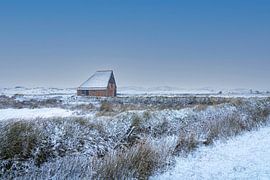 Sheepfold in winter by Everydayapicture_byGerard  Texel