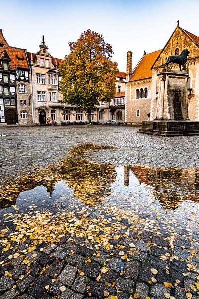 Reflectie op de gevel van Kasteel Dankwarderode van Dieter Walther