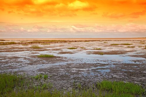 Waddenzee