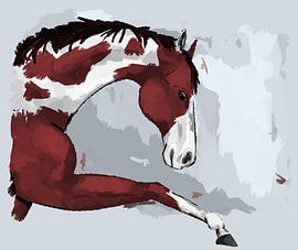 Elegantes Pinto-Pferd in Bewegung von Antiope33