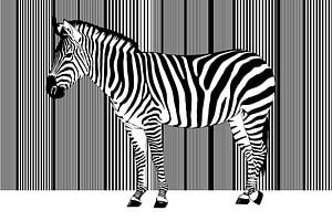 Zebra Barcode