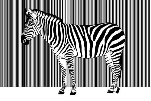 Zebra Barcode von Monika Jüngling