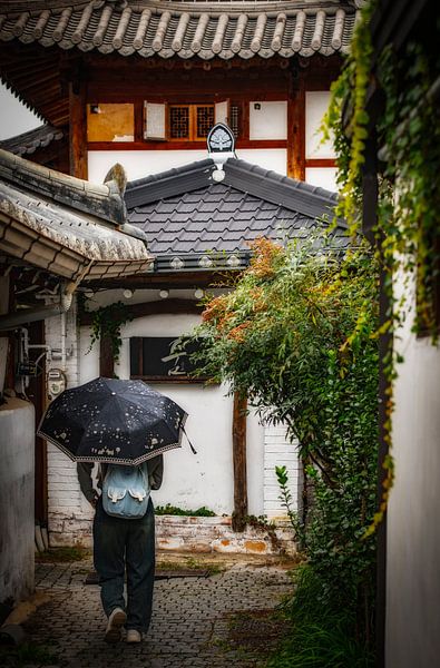 Jeonju street scene South Korea. by Ron van der Stappen