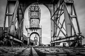 Antwerp: Steel City Guards - The Harbour Cranes by juvani photo