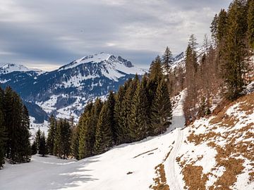 Winterlandschap in het Bregenzerwald in Oostenrijk van Animaflora PicsStock