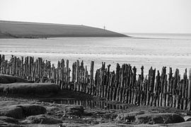 Moddergat, Waddenzee