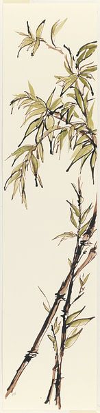 Summer II - Avocado Bambus, Chris Paschke von Wild Apple