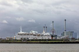 SS Rotterdam sur Rob Adriaanse