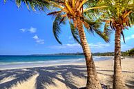 Bij Playa Rincon op het schiereiland Samaná van Roith Fotografie thumbnail