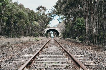 Treinspoor van Franklin Verbeek