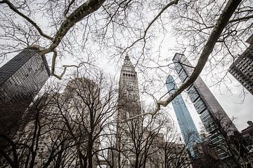 Madison Square Park in New York