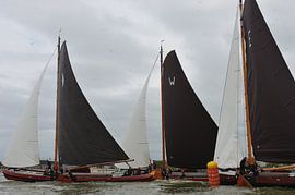 skûtsjesilen 2023 by Paul Fafieanie