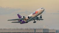 FedEx McDonnell Douglas DC-10 vrachtvliegtuig. van Jaap van den Berg thumbnail