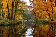 Herfst van Violetta Honkisz thumbnail