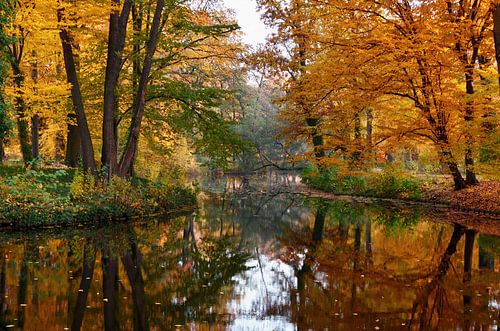 Herfst
