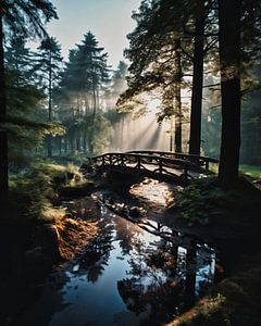 Brücke über den Waldbach
